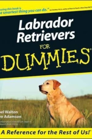 Labrador Retrievers For Dummies