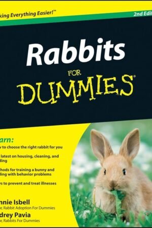 Rabbits For Dummies