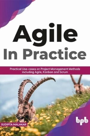 AGILE in Practice: Practical Use-cases on Project Management Methods including Agile, Kanban and Scrum