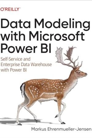 Data Modeling with Microsoft Power BI: Self-Service and Enterprise Data Warehouses with Power BI