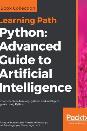 Python, Advanced Guide to Artificial Intelligence