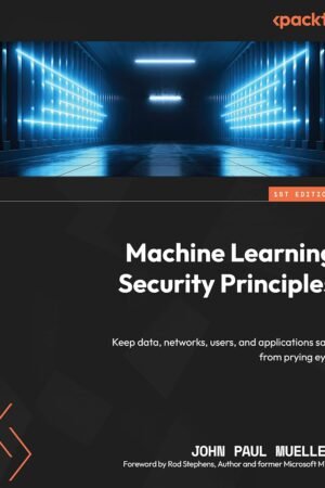 Machine Learning Security Principles