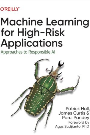 Machine Learning for High-Risk Applications