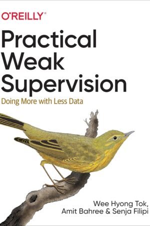 Practical Weak Supervision