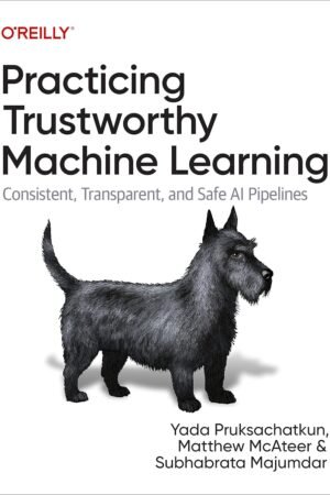 Practicing Trustworthy Machine Learning
