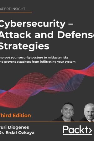 Cybersecurity, Attack and Defense Strategies
