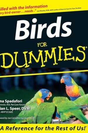 Birds For Dummies