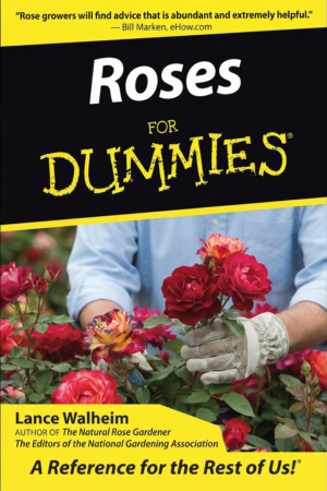 Roses For Dummies