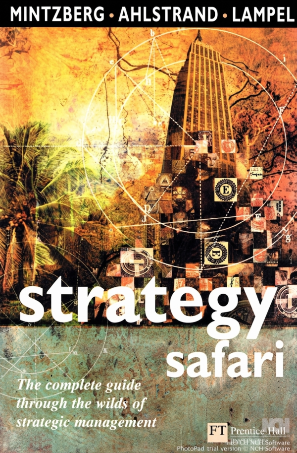 Strategy Safari