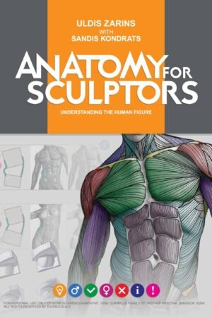 Anatomy for Sculptors, Understanding the Human Figure