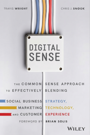 Digital Sense: The Common Sense Approach to Effectively Blending Social Business Strategy, Marketing Technology, and Customer Experience