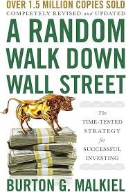 A Random Walk Down Wall Street : The Time-Tested Strategy for Successful Investing