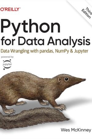 Python for Data Analysis: Data Wrangling with Pandas, NumPy, and IPython
