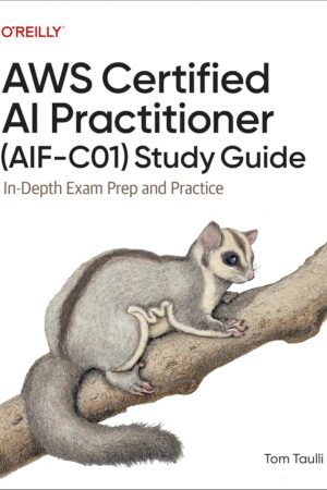 AWS Certified AI Practitioner (AIF-C01) Study Guide