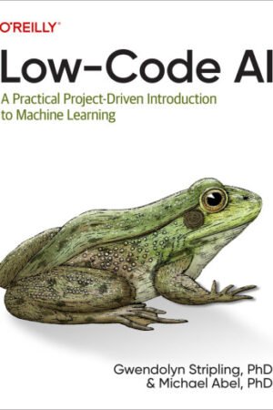 Low-Code AI