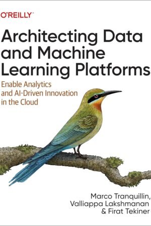 Architecting Data and Machine Learning Platforms