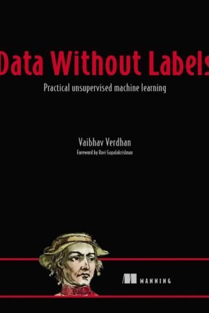 Data Without Labels