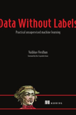 Data Without Labels
