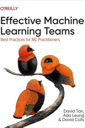 Effective Machine Learning Teams