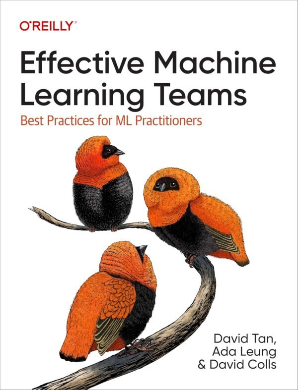 Effective Machine Learning Teams Effective Machine Learning Teams