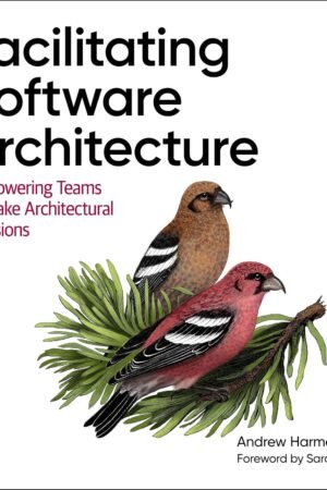 Facilitating Software Architecture