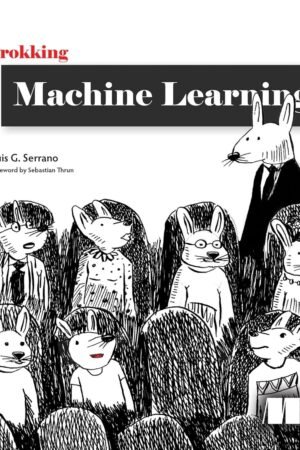Grokking Machine Learning