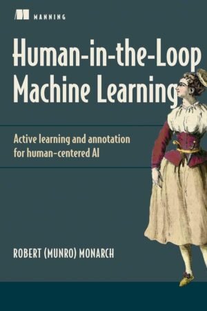 Human-in-the-Loop Machine Learning