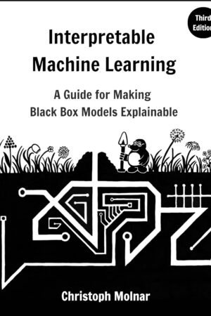 Interpretable Machine Learning