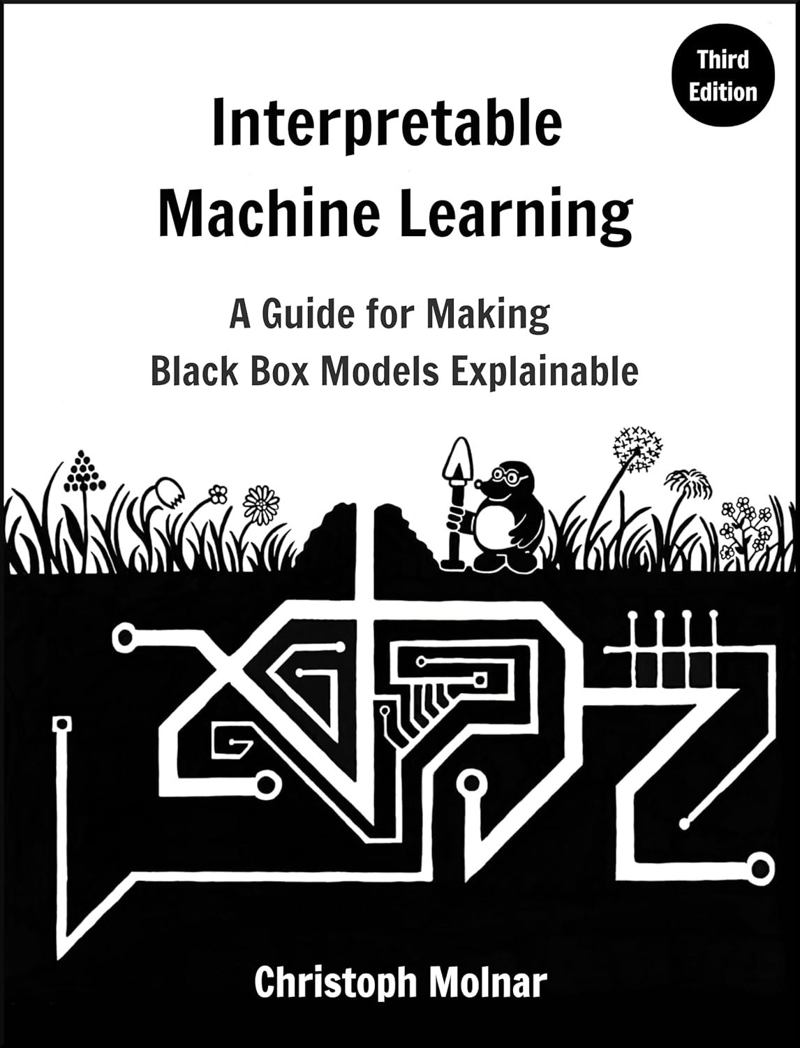 Interpretable Machine Learning - Al Mtba3a