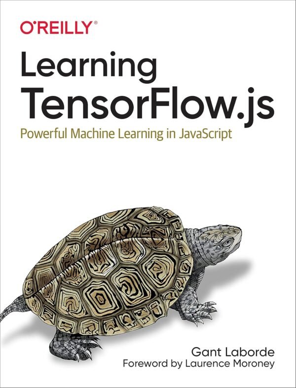 Learning TensorFlow,js