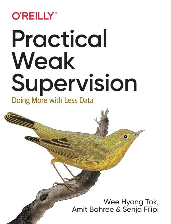Practical Weak Supervision