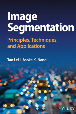 Image Segmentation, Principles, Techniques, and Applications