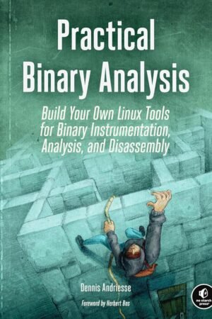 Practical Binary Analysis