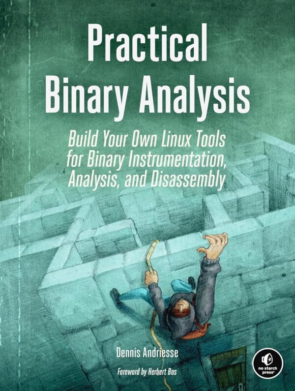 Practical Binary Analysis