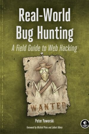 Real-World Bug Hunting