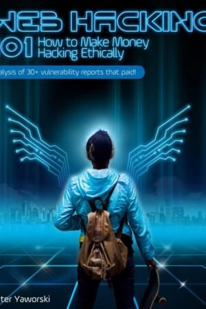 Web Hacking 101